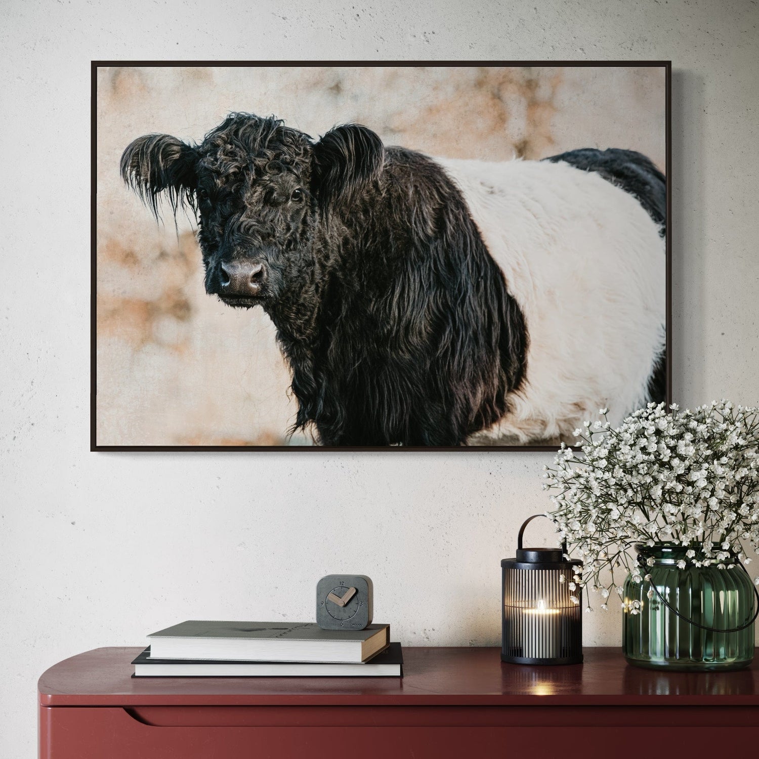 Belted Galloway Cattle Wall Art