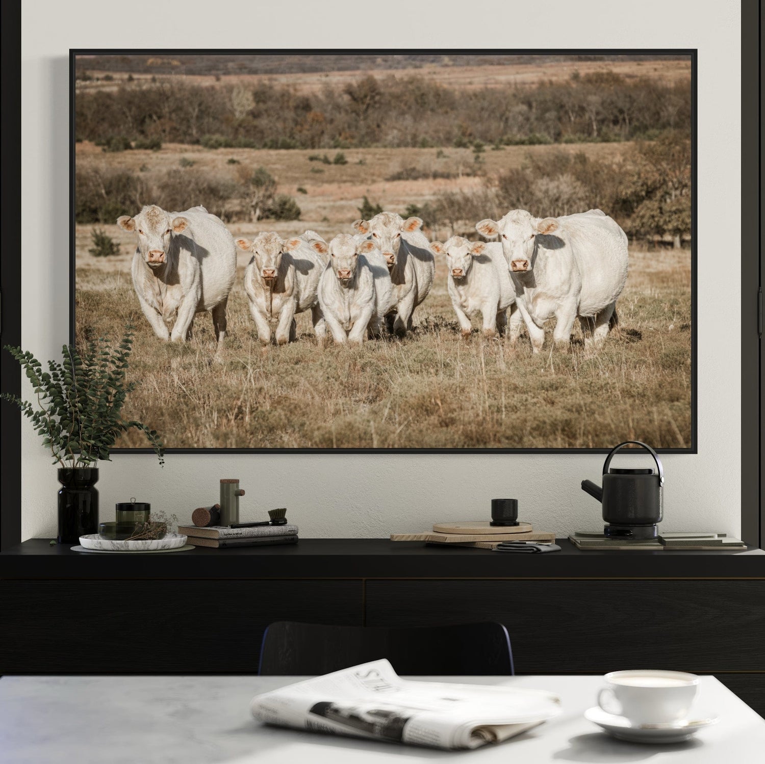 Charolais Cattle Wall Art