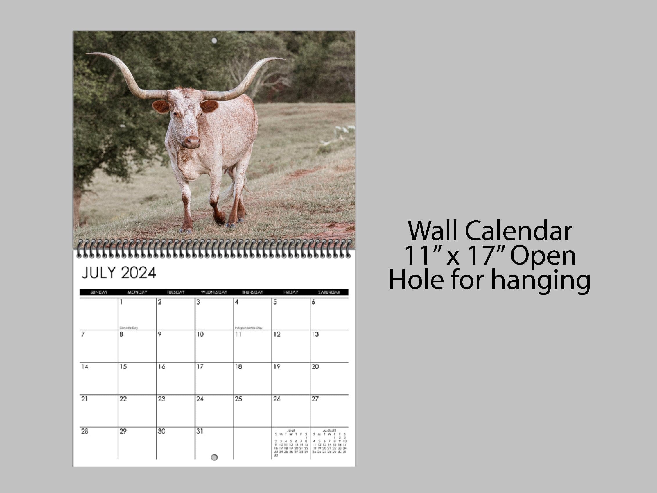 2024 Texas Longhorn Wall Calendar Teri James Photography