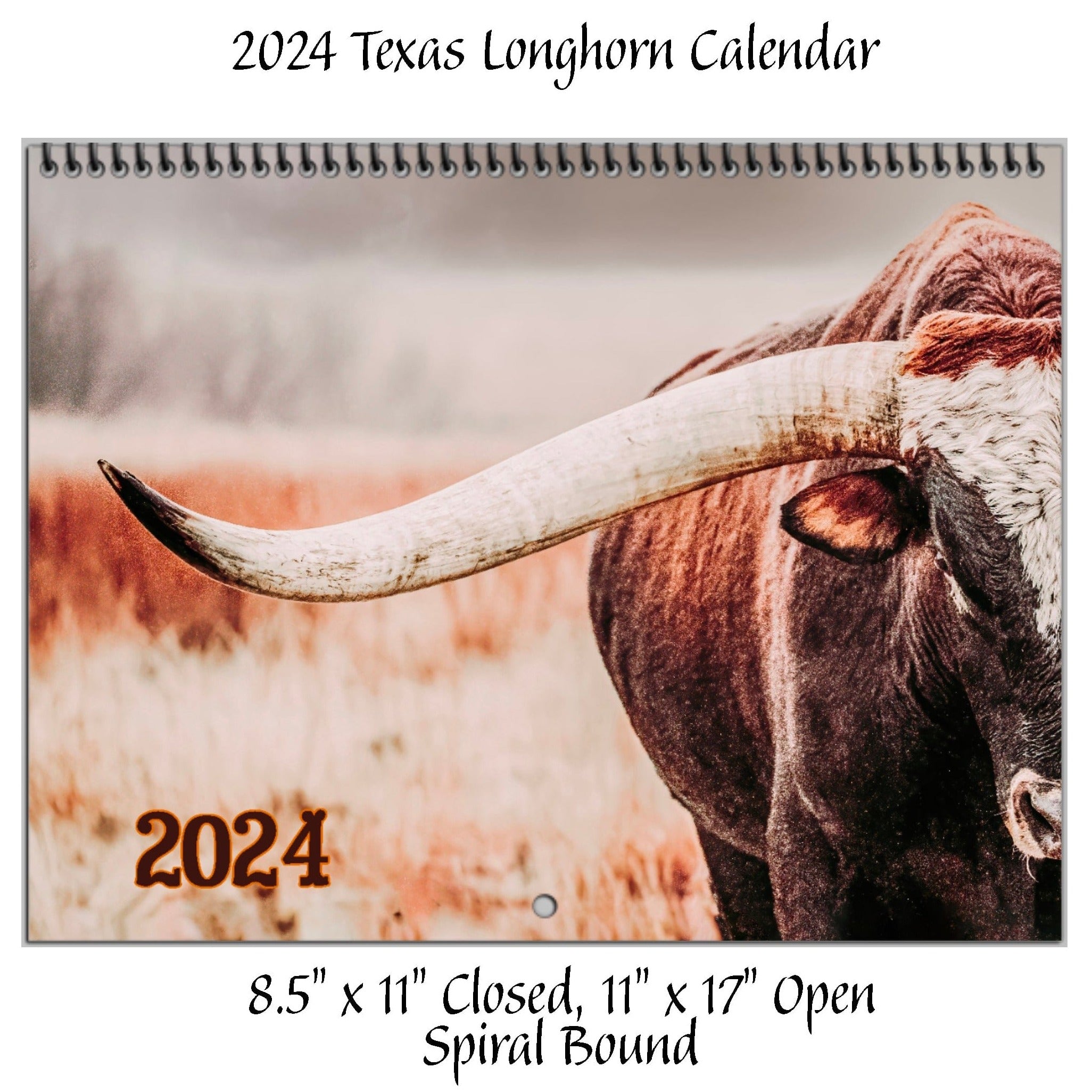 2024 Texas Longhorn Calendar Teri James Photography