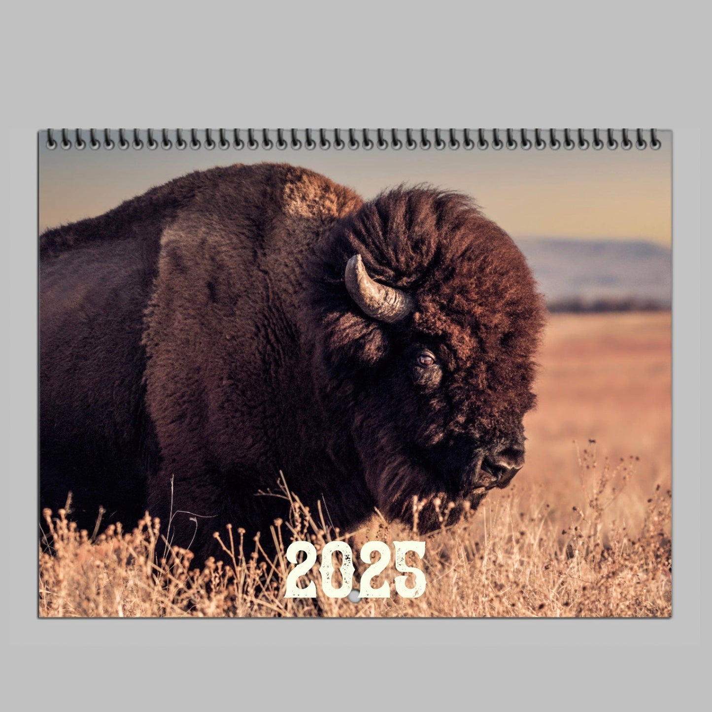 2025 American Bison Calendar or Desktop Planner Calendar Teri James Photography