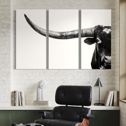 3 Piece Black and White Longhorn Canvas Wall Art Teri James Photography