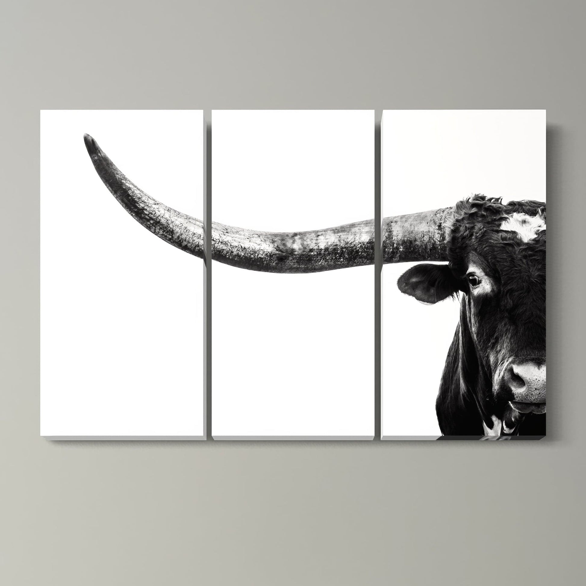 3 Piece Black and White Longhorn Canvas 48" x 72" (3 @ 24" x 48") Wall Art Teri James Photography