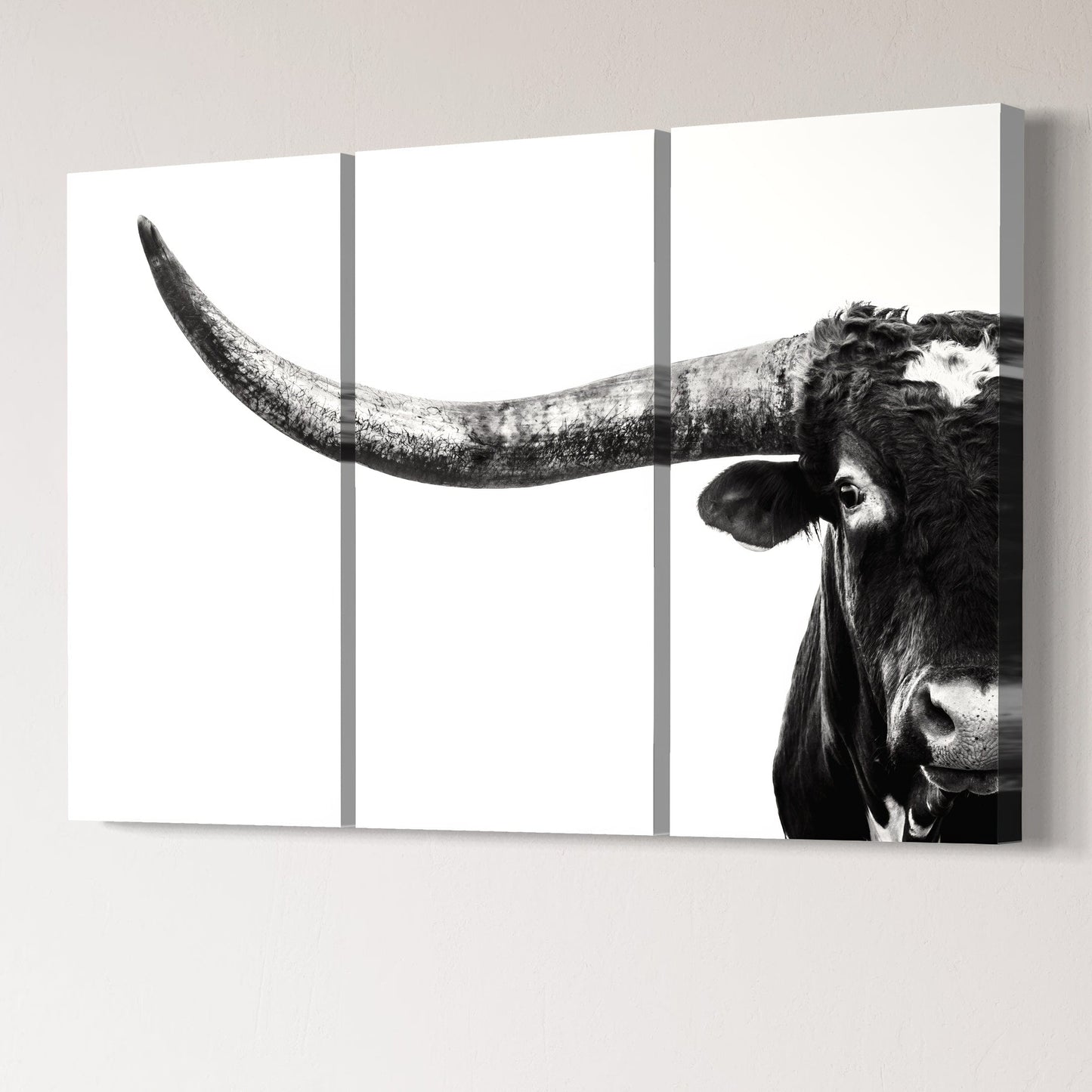 3 Piece Black and White Longhorn Canvas Wall Art Teri James Photography