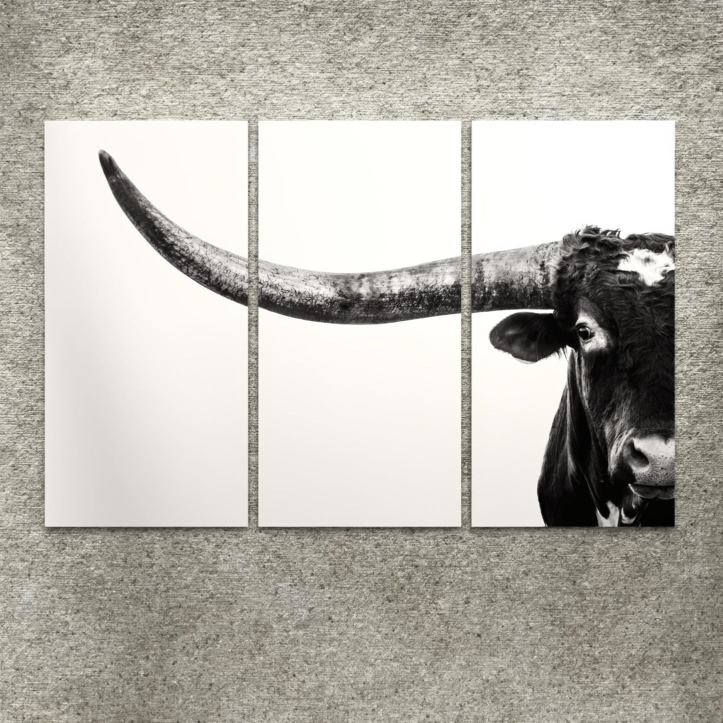 3 Piece Black and White Longhorn Canvas Wall Art Teri James Photography