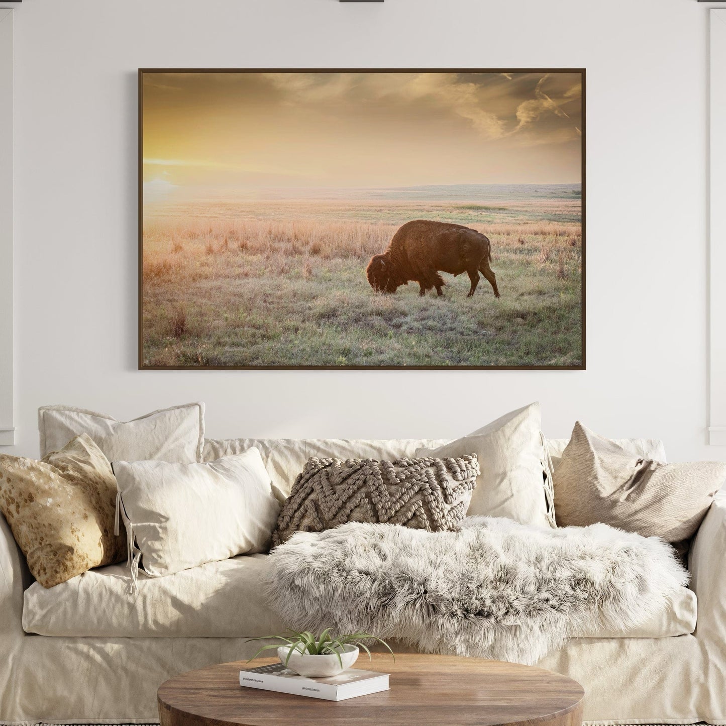 American Bison Canvas Print Wall Art Teri James Photography