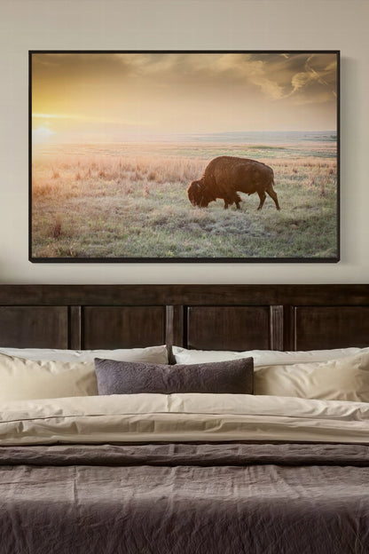 American Bison Canvas Print Wall Art Teri James Photography