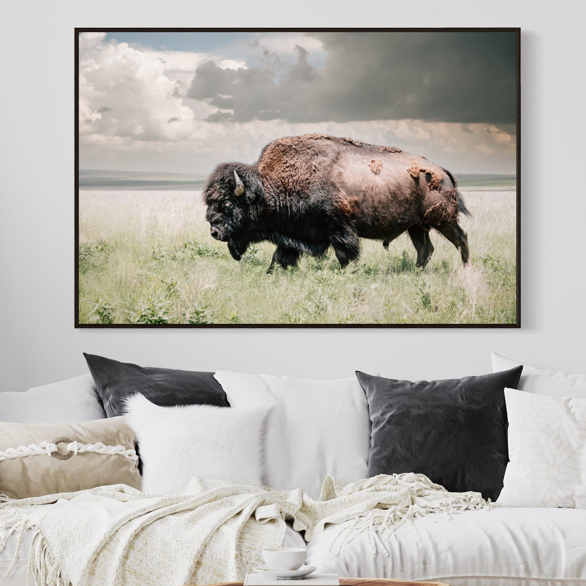 American Bison or Buffalo Canvas Print Wall Art Teri James Photography