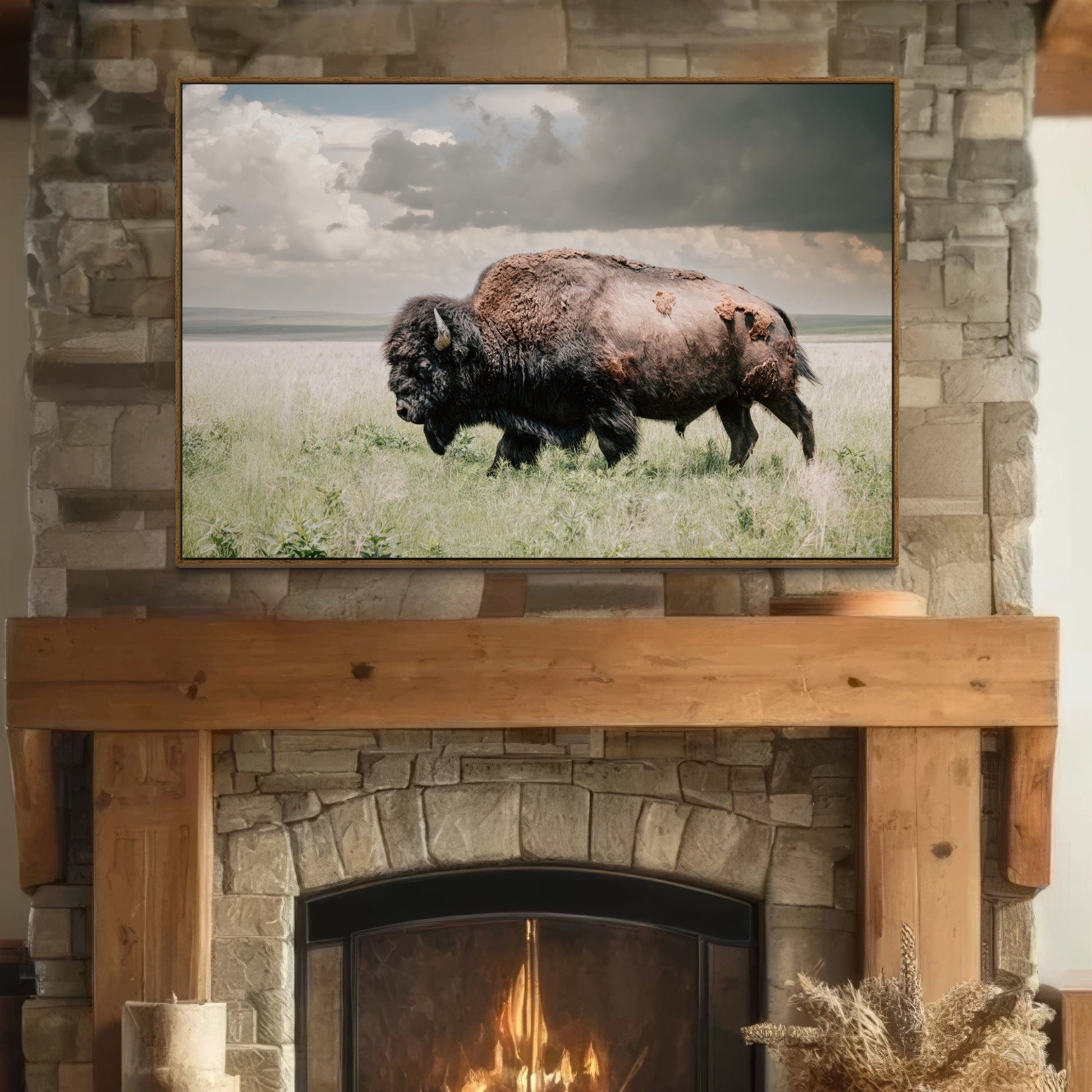 American Bison or Buffalo Canvas Print Wall Art Teri James Photography