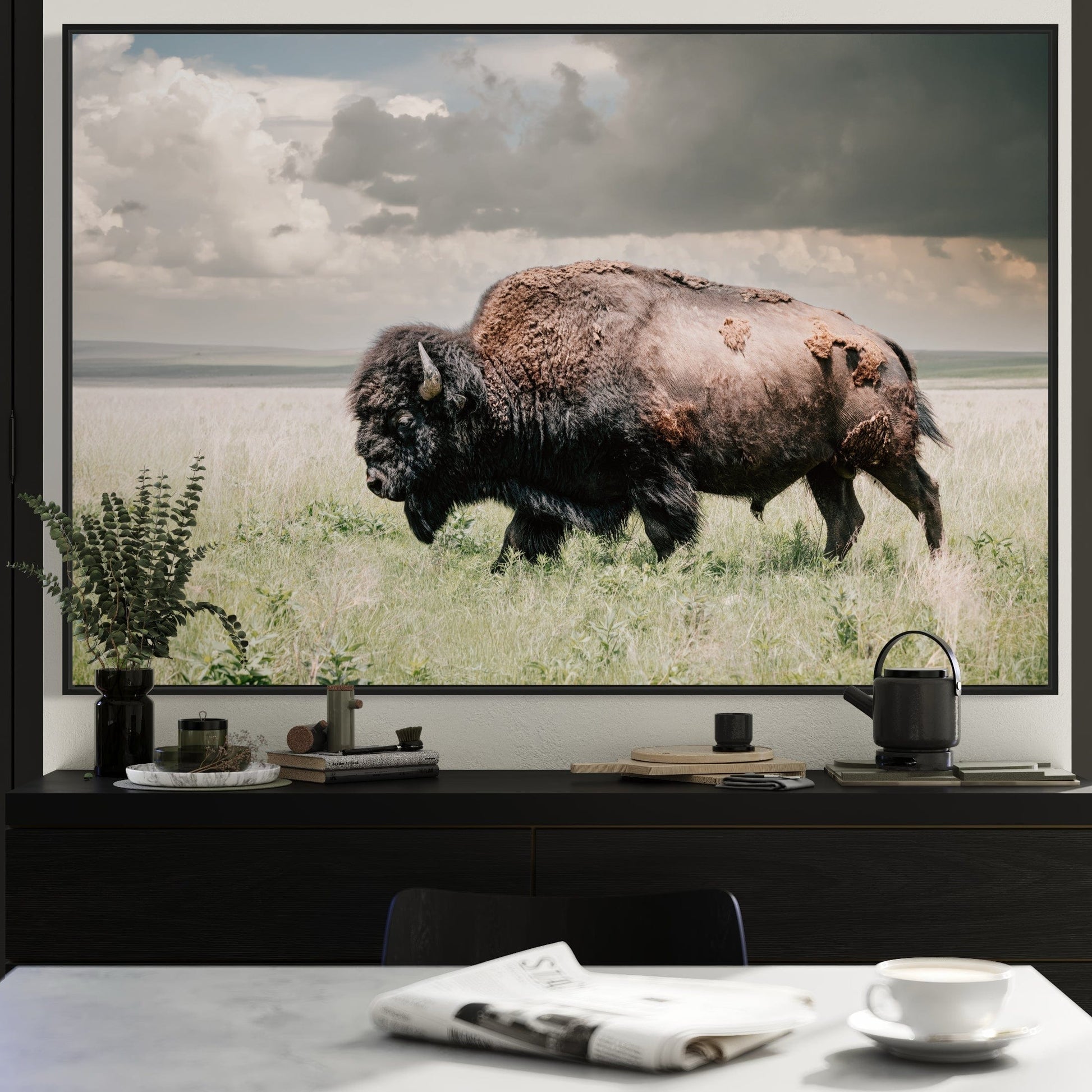 American Bison or Buffalo Canvas Print Wall Art Teri James Photography