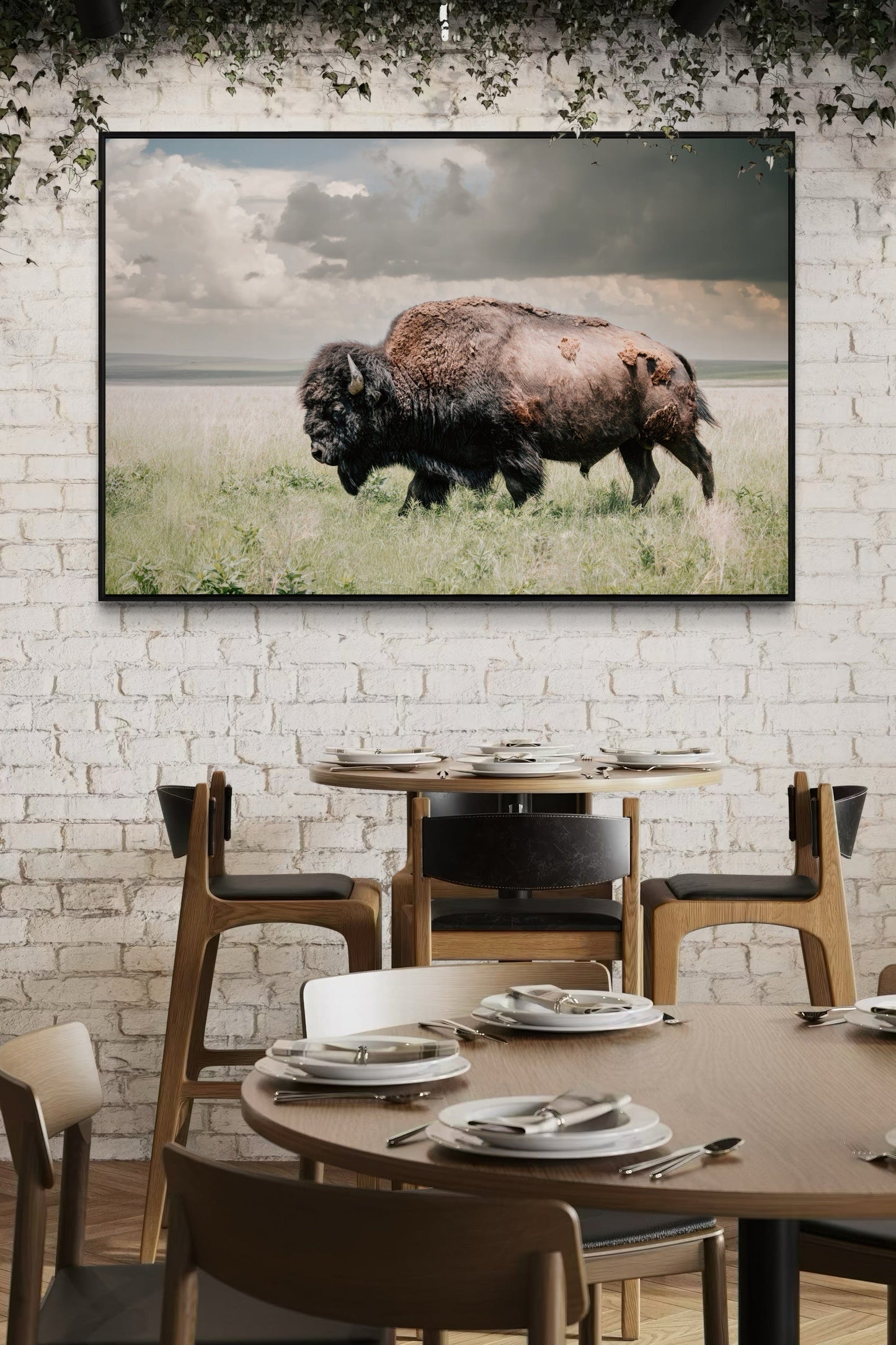 American Bison or Buffalo Canvas Print Wall Art Teri James Photography