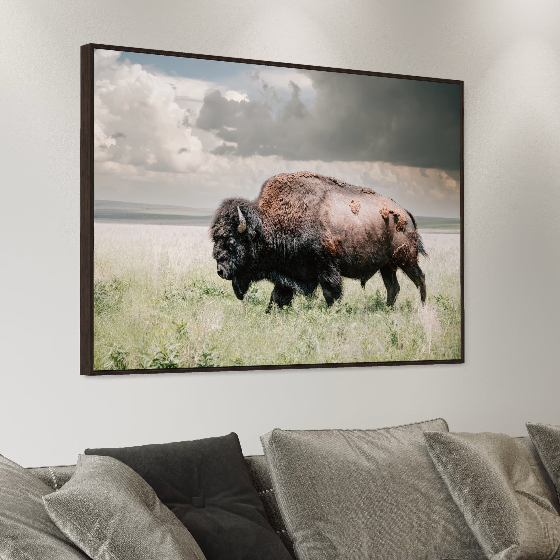 American Bison Wall Art - Buffalo Canvas Print Wall Art Teri James Photography