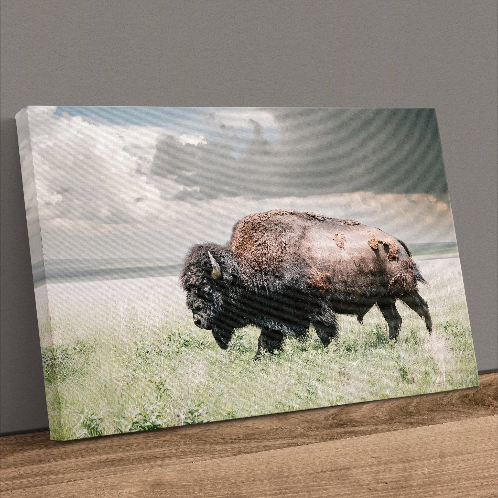 American Bison Wall Art - Buffalo Canvas Print Canvas-Unframed / 12 x 18 Inches Wall Art Teri James Photography
