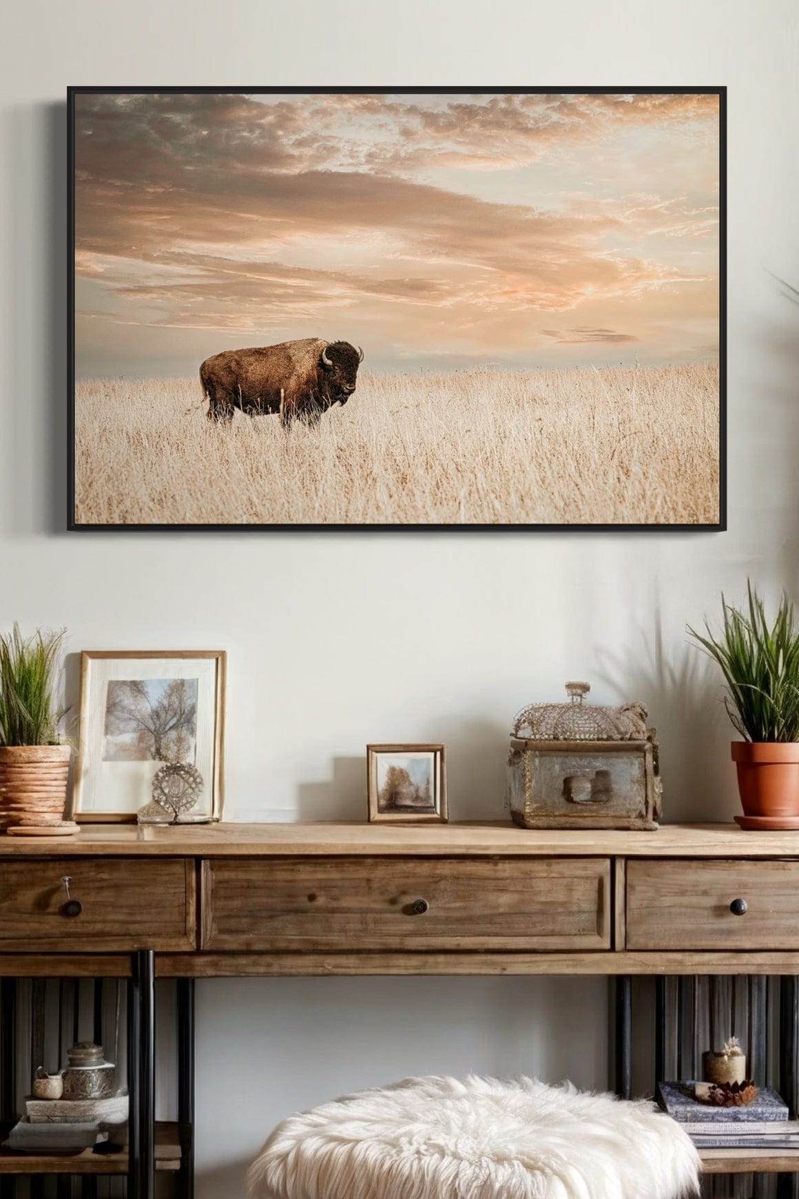 American Bison Wall Art Wall Art Teri James Photography