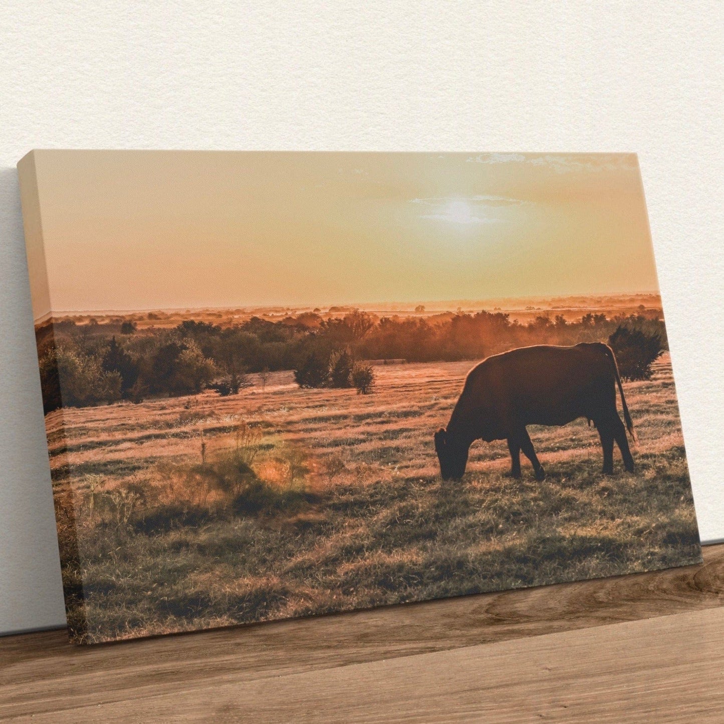 Angus Cow and Oklahoma Sunset Canvas Canvas-Unframed / 12 x 18 Inches Wall Art Teri James Photography