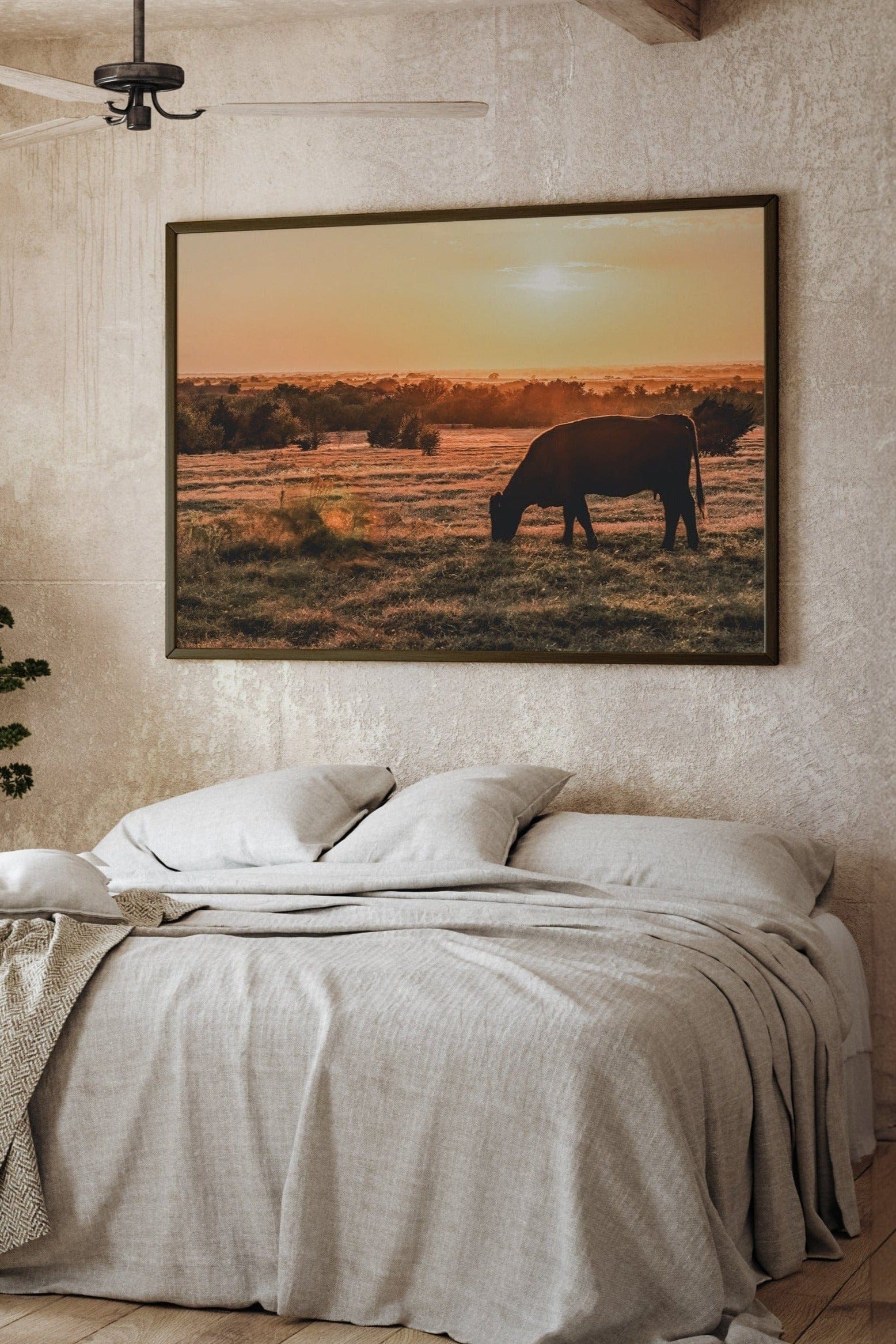 Angus Cow and Oklahoma Sunset Canvas Wall Art Teri James Photography