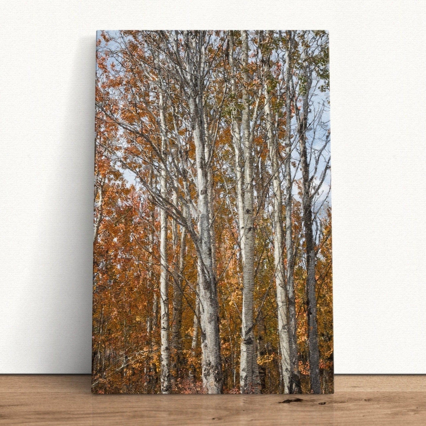 Aspen Tree Fall Photography Canvas-Unframed / 12 x 18 Inches Wall Art Teri James Photography