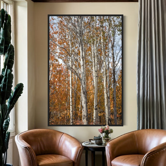 Aspen Tree Fall Photography Wall Art Teri James Photography