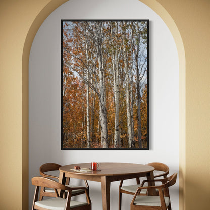 Aspen Tree Fall Photography Wall Art Teri James Photography