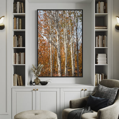 Aspen Tree Fall Photography Wall Art Teri James Photography