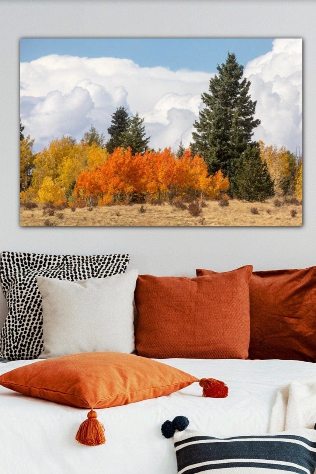 Aspen Trees Scenic Artwork Wall Art Teri James Photography