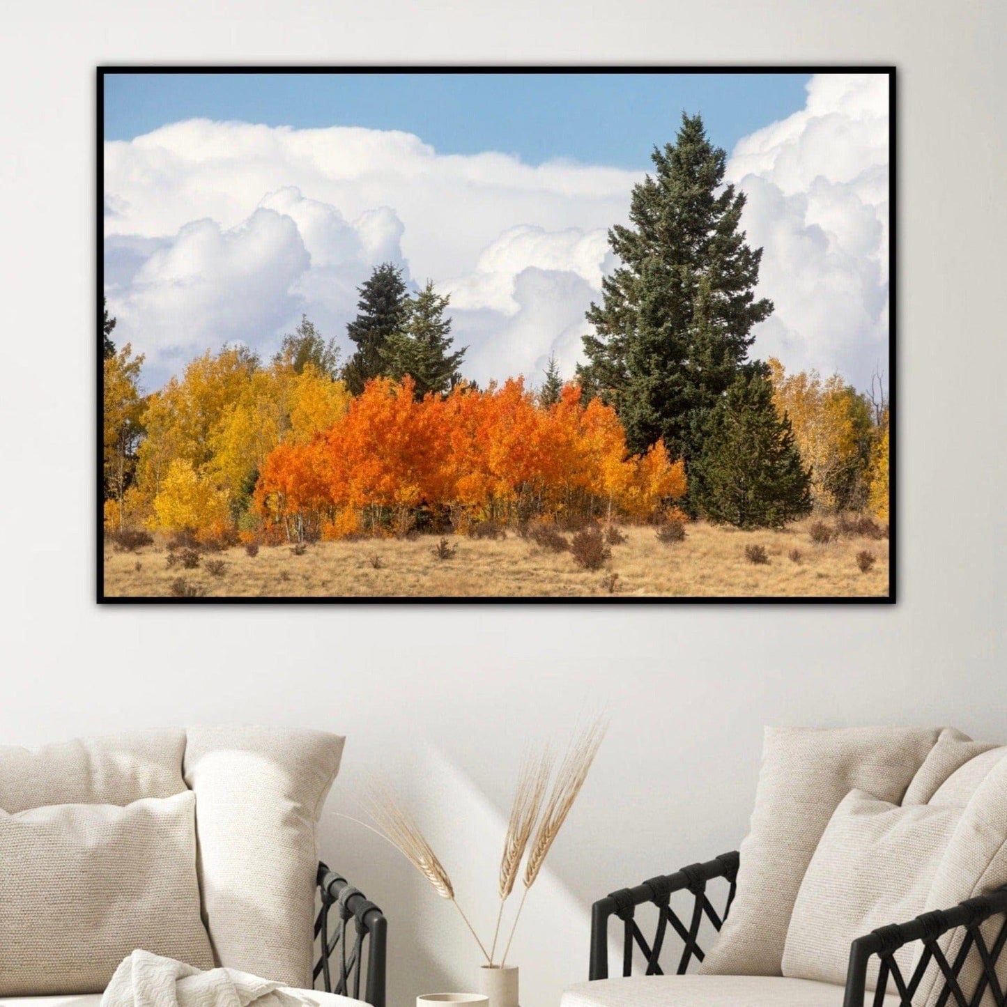 Aspen Trees Scenic Artwork Wall Art Teri James Photography