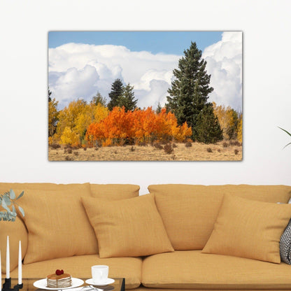 Aspen Trees Scenic Artwork Wall Art Teri James Photography