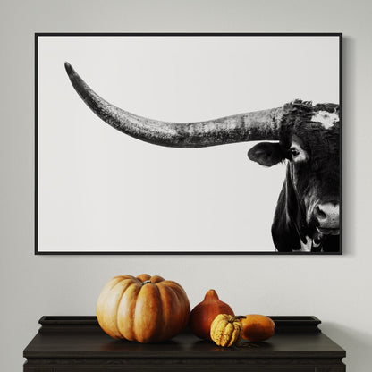 Austin Texas Longhorn Art in Black and White Wall Art Teri James Photography