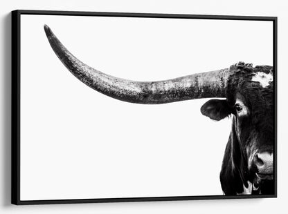 Austin Texas Longhorn Art in Black and White Wall Art Teri James Photography