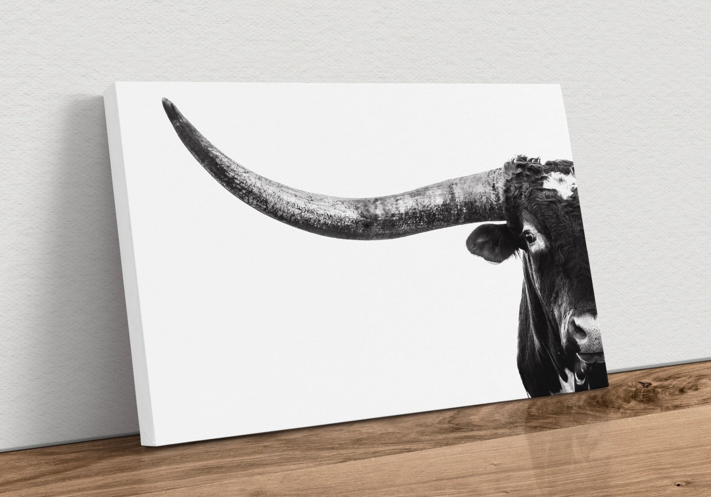 Austin Texas Longhorn Art in Black and White Canvas-Unframed / 12 x 18 Inches Wall Art Teri James Photography