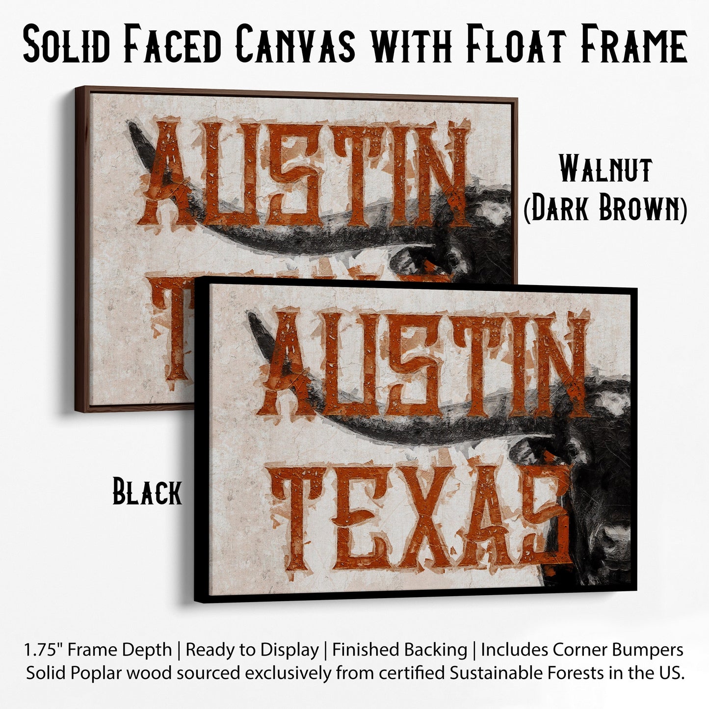 Austin Texas Print - Longhorn Wall Decor Canvas-Black Frame / 12 x 18 Inches Wall Art Teri James Photography