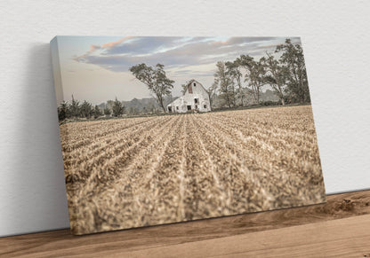 Barn Art Print - Nebraska Cornfield Canvas-Unframed / 12 x 18 Inches Wall Art Teri James Photography