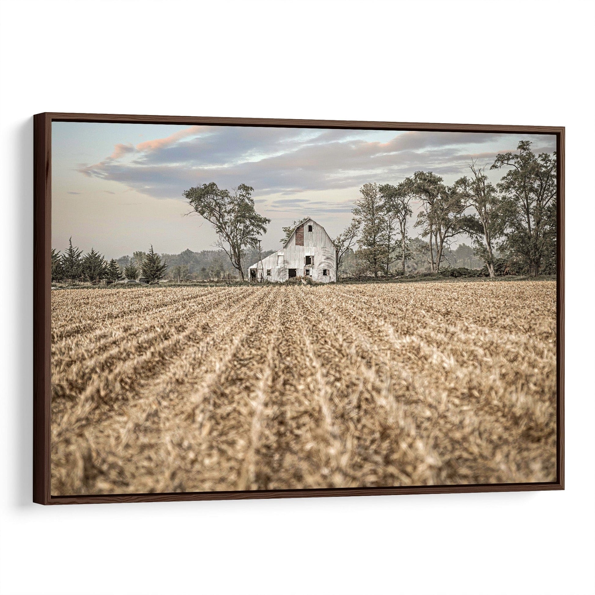 Barn Art Print - Nebraska Cornfield Canvas-Walnut Frame / 12 x 18 Inches Wall Art Teri James Photography