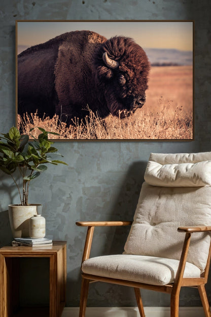 Bison Bull Canvas Print - Wichita Mountains Wildlife Refuge Wall Art Teri James Photography