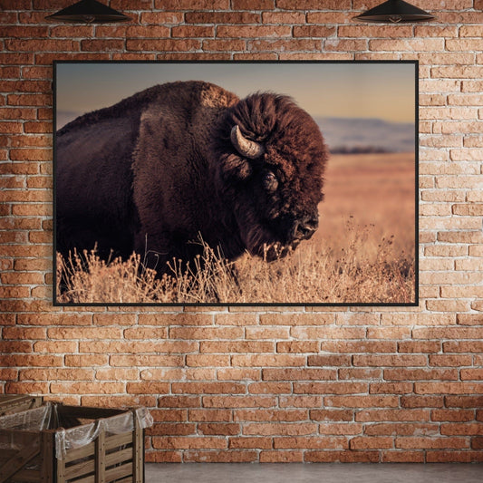 Bison Bull Canvas Print - Wichita Mountains Wildlife Refuge Wall Art Teri James Photography