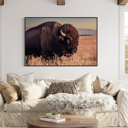 Bison Bull Canvas Print - Wichita Mountains Wildlife Refuge Wall Art Teri James Photography