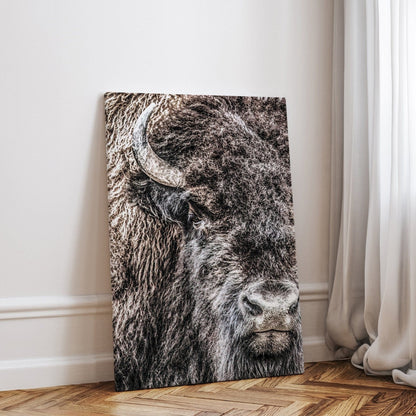 Bison Bull Closeup Photo Canvas Wall Art Teri James Photography