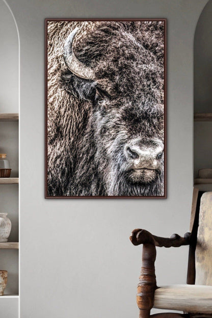 Bison Bull Closeup Photo Canvas Wall Art Teri James Photography