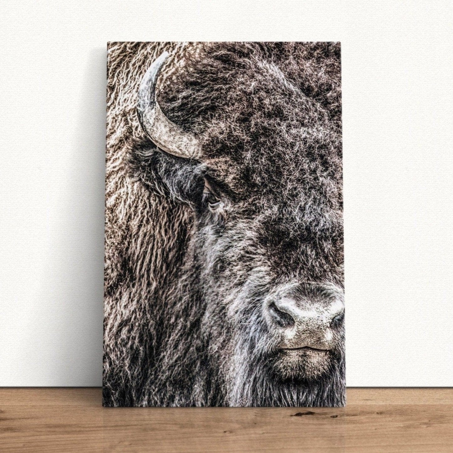 Bison Bull Closeup Photo Canvas Canvas-Unframed / 12 x 18 Inches Wall Art Teri James Photography