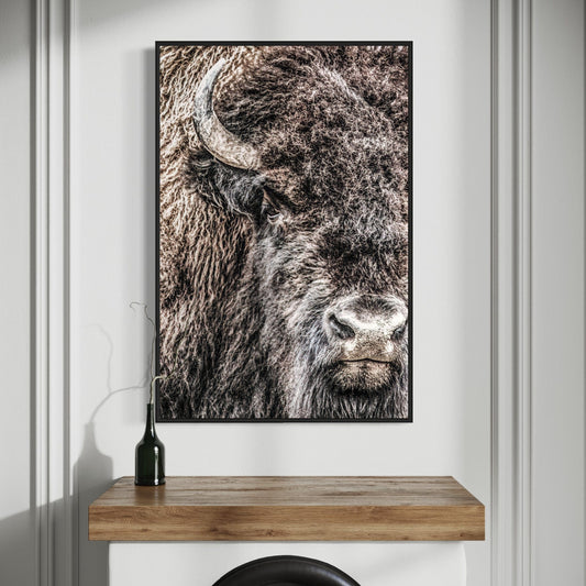 Bison Bull Closeup Photo Canvas Wall Art Teri James Photography