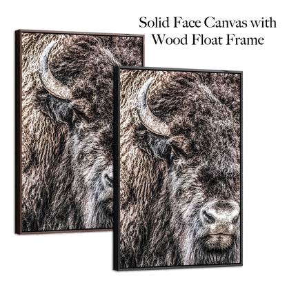 Bison Bull Closeup Photo Canvas Canvas-Black Frame / 12 x 18 Inches Wall Art Teri James Photography