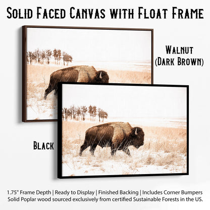 Bison Canvas Wall Art - Brown & Sepia Tone Western Decor Canvas-Black Frame / 12 x 18 Inches Wall Art Teri James Photography