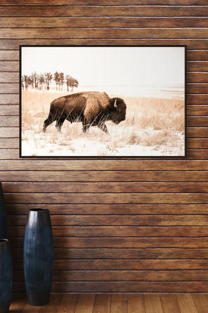 Bison Canvas Wall Art - Brown & Sepia Tone Western Decor Wall Art Teri James Photography