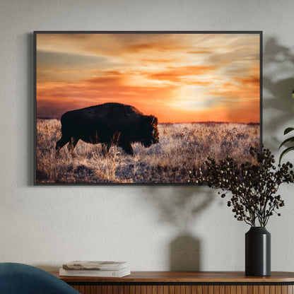 Bison Wall Art Canvas - Colorful Orange Sunset Wall Art Teri James Photography