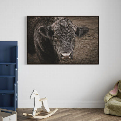 Black Angus Bull Print Wall Art Teri James Photography