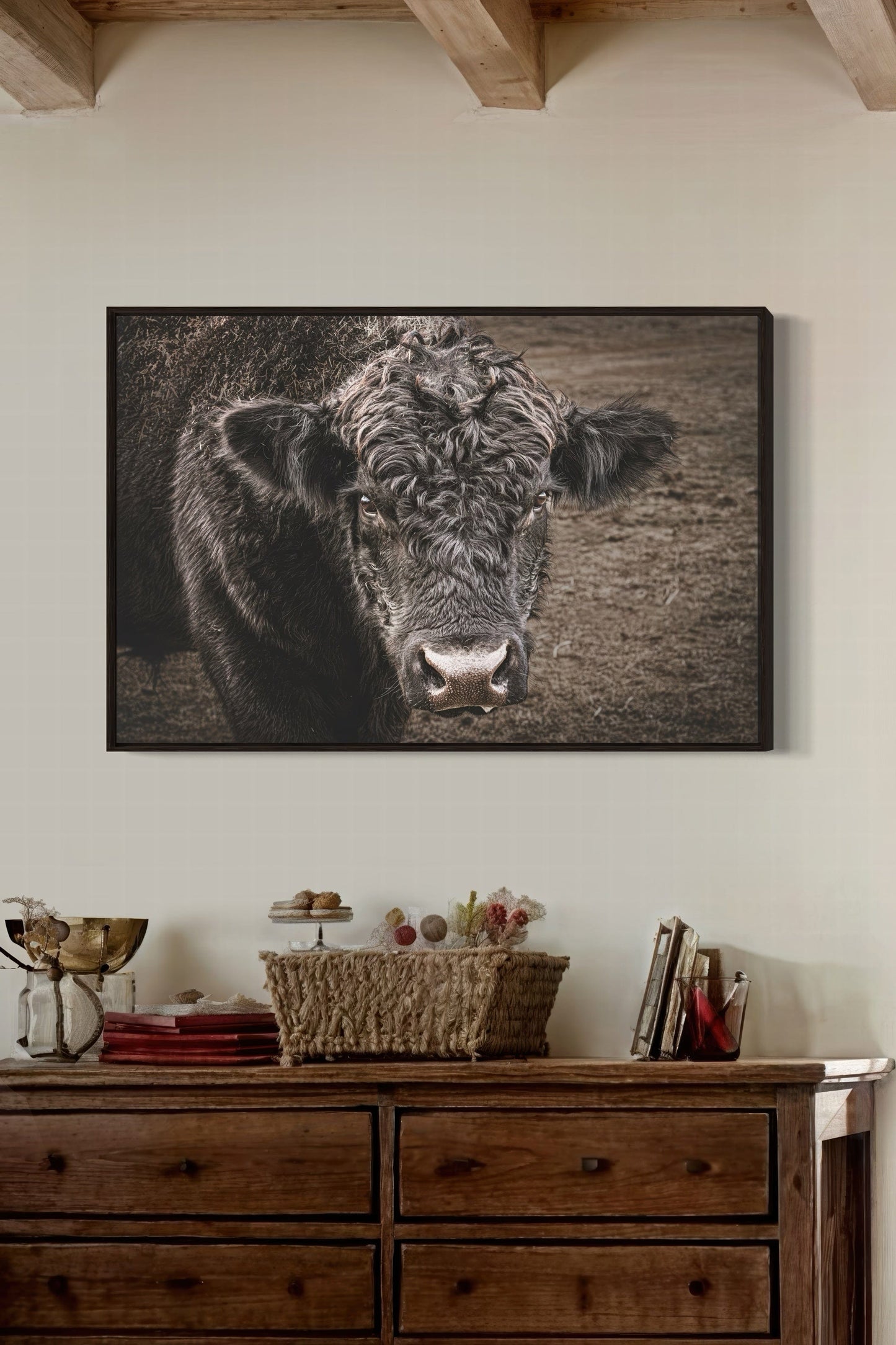 Black Angus Bull Print Wall Art Teri James Photography