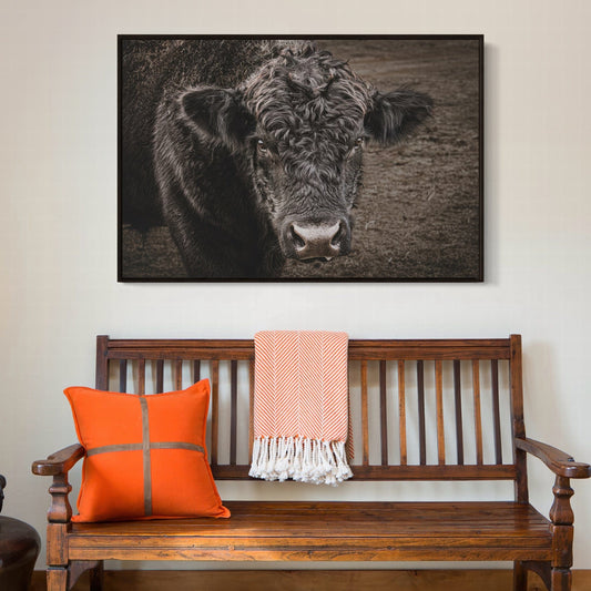 Black Angus Bull Print Wall Art Teri James Photography