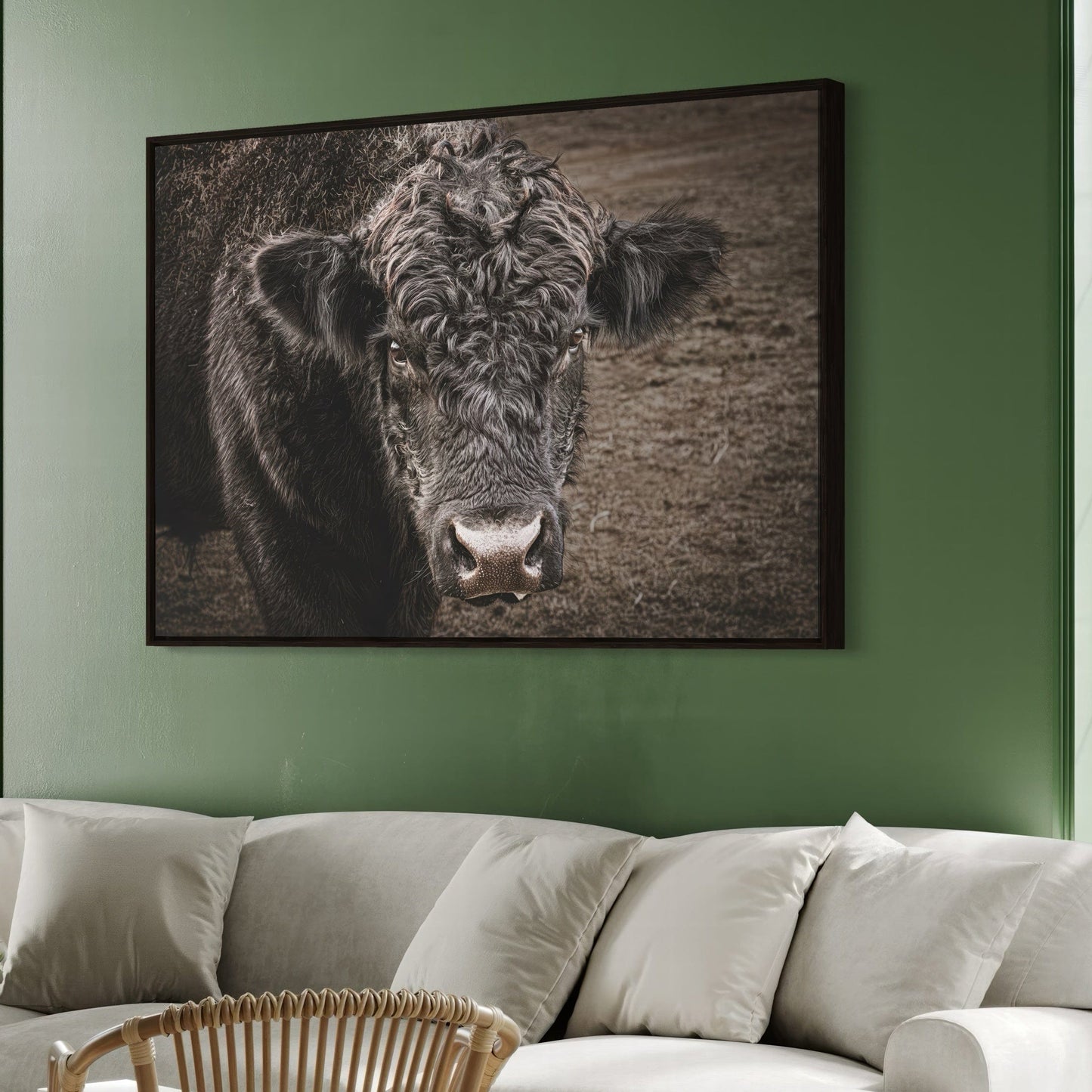 Black Angus Bull Print Wall Art Teri James Photography