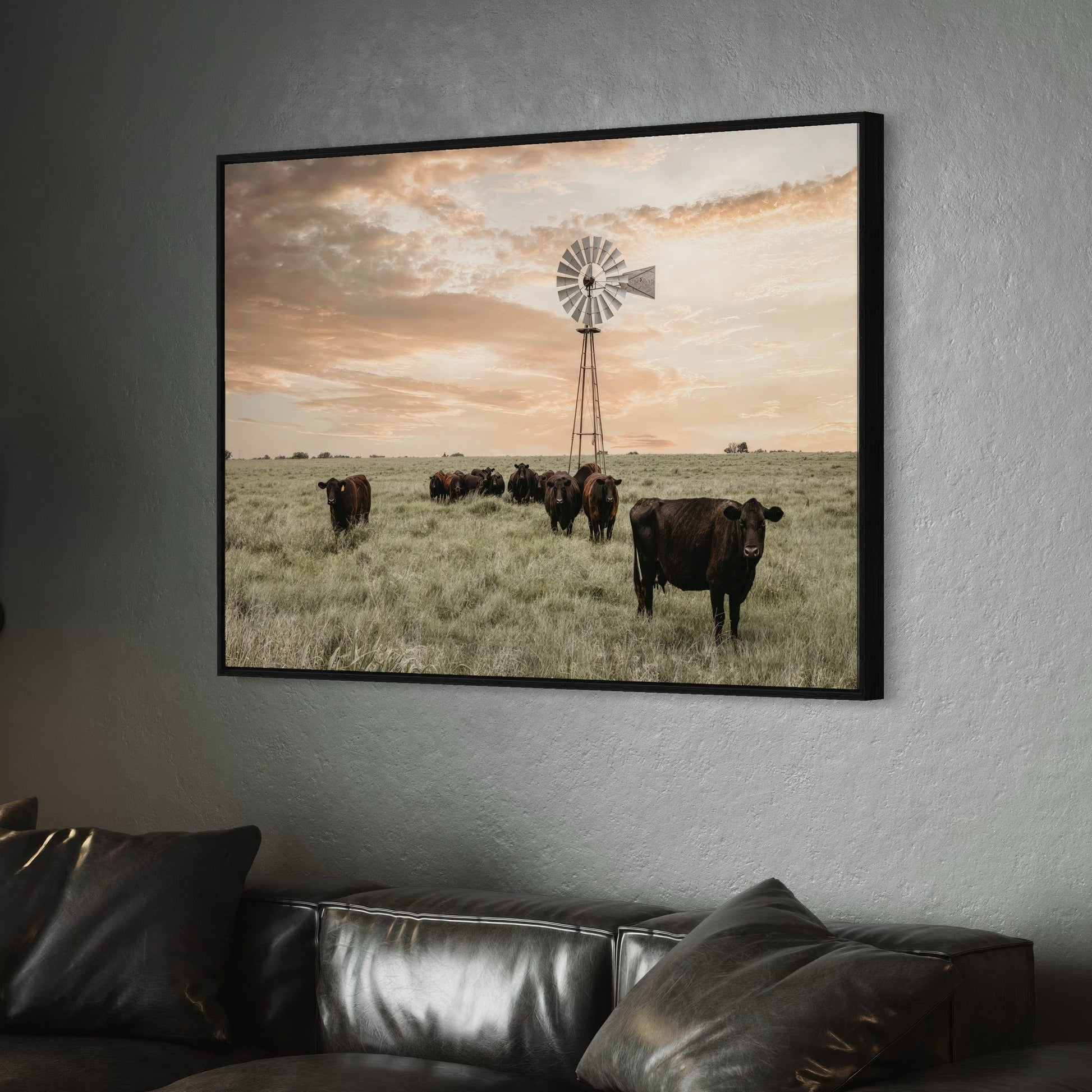Black Angus Cattle and Old Windmill Wall Art Teri James Photography