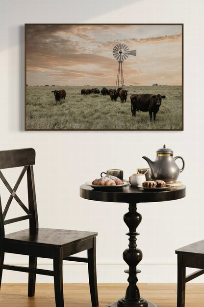 Black Angus Cattle and Old Windmill Wall Art Teri James Photography